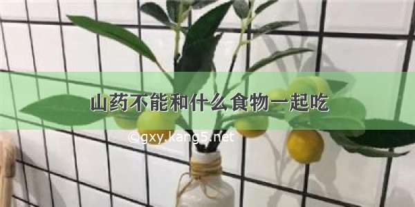 山药不能和什么食物一起吃