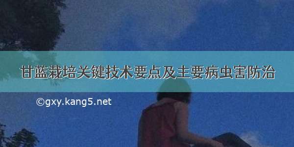 甘蓝栽培关键技术要点及主要病虫害防治