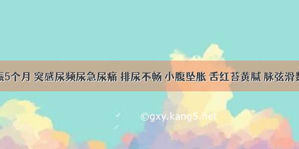 患者妊娠5个月 突感尿频尿急尿痛 排尿不畅 小腹坠胀 舌红苔黄腻 脉弦滑数。其证