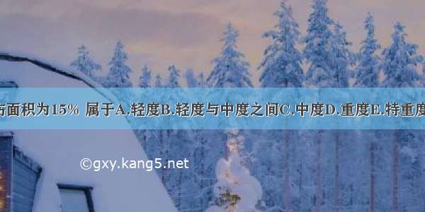 Ⅱ度烧伤面积为15% 属于A.轻度B.轻度与中度之间C.中度D.重度E.特重度ABCDE