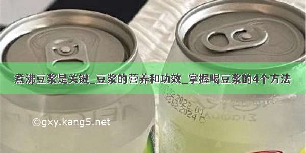 煮沸豆浆是关键_豆浆的营养和功效_掌握喝豆浆的4个方法