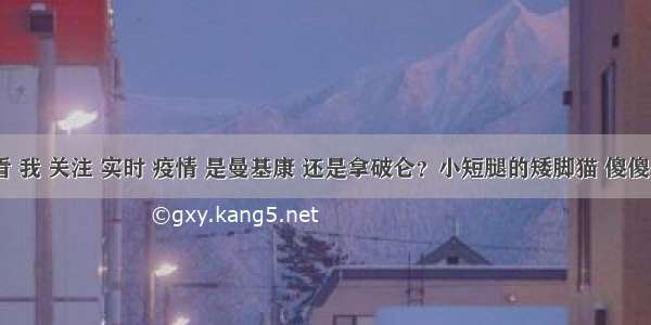 刷新 翻看 我 关注 实时 疫情 是曼基康 还是拿破仑？小短腿的矮脚猫 傻傻分不清楚