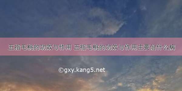 五指毛桃的功效与作用 五指毛桃的功效与作用主要治什么病