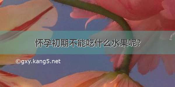 怀孕初期不能吃什么水果呢？