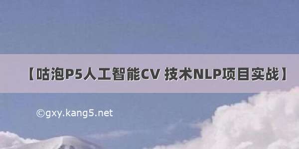 【咕泡P5人工智能CV 技术NLP项目实战】