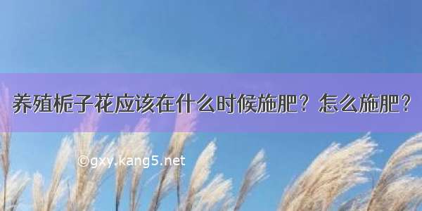 养殖栀子花应该在什么时候施肥？怎么施肥？