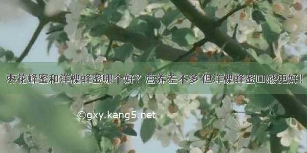 枣花蜂蜜和洋槐蜂蜜哪个好？营养差不多 但洋槐蜂蜜口感更好！