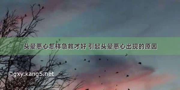 头晕恶心怎样急救才好 引起头晕恶心出现的原因