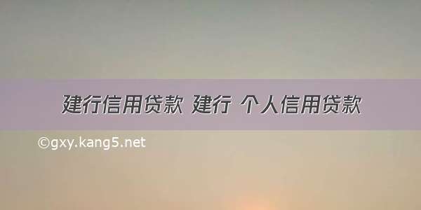 建行信用贷款 建行 个人信用贷款