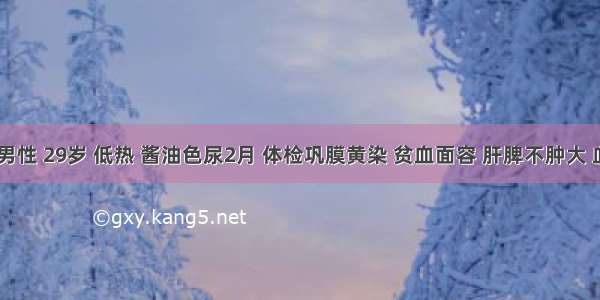 患者 男性 29岁 低热 酱油色尿2月 体检巩膜黄染 贫血面容 肝脾不肿大 血红蛋