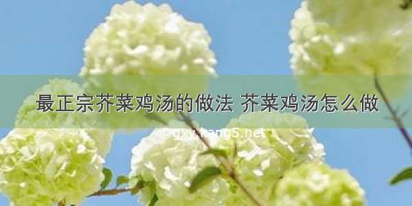 最正宗芥菜鸡汤的做法 芥菜鸡汤怎么做