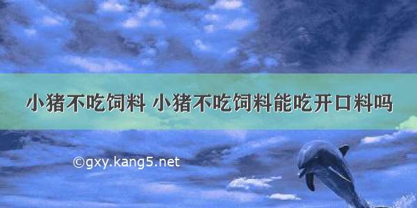 小猪不吃饲料 小猪不吃饲料能吃开口料吗