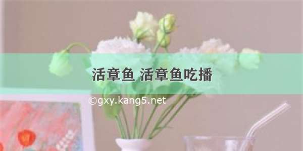 活章鱼 活章鱼吃播