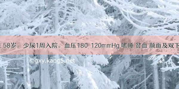 患者 女性 58岁。少尿1周入院。血压180／120mmHg 嗜睡 贫血 颜面及双下肢水肿。