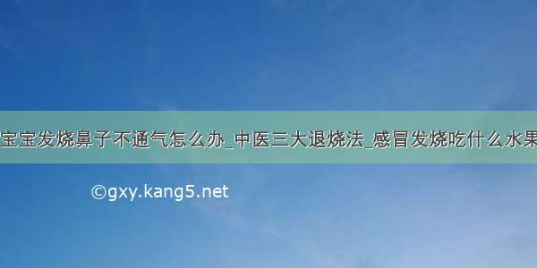 宝宝发烧鼻子不通气怎么办_中医三大退烧法_感冒发烧吃什么水果