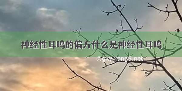 神经性耳鸣的偏方什么是神经性耳鸣