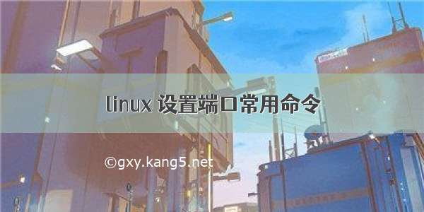 linux 设置端口常用命令