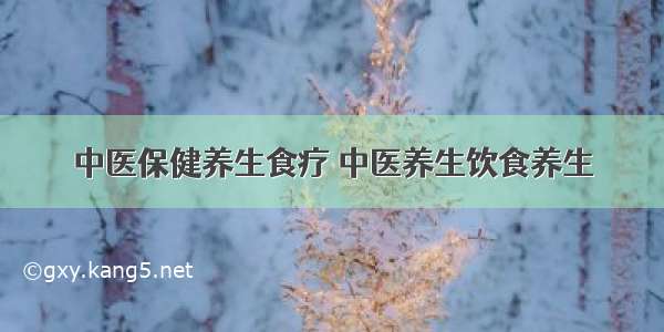 中医保健养生食疗 中医养生饮食养生