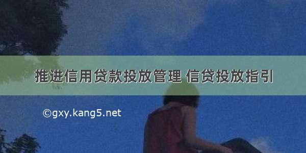 推进信用贷款投放管理 信贷投放指引