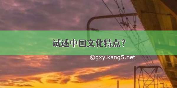 试述中国文化特点？