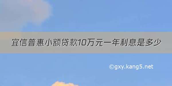 宜信普惠小额贷款10万元一年利息是多少