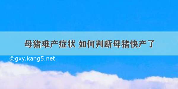 母猪难产症状 如何判断母猪快产了