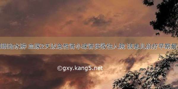 7岁男孩 因眼睑水肿 血尿2天以急性肾小球肾炎收住入院 该患儿治疗早期最主要的措施