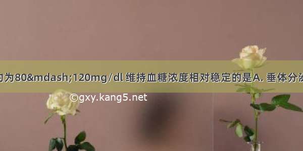 人体血糖浓度约为80—120mg/dl 维持血糖浓度相对稳定的是A. 垂体分泌的激素B. 甲状