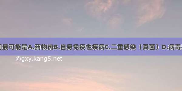 此时发热原因最可能是A.药物热B.自身免疫性疾病C.二重感染（真菌）D.病毒感染E.支原体