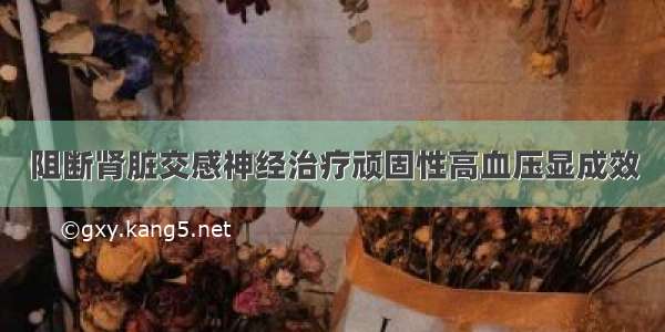 阻断肾脏交感神经治疗顽固性高血压显成效