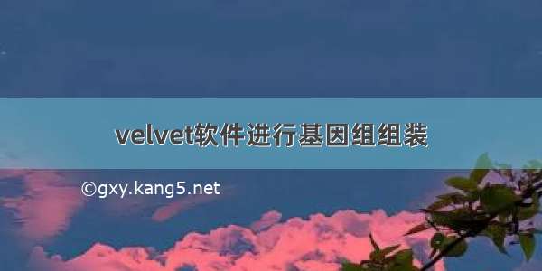 velvet软件进行基因组组装