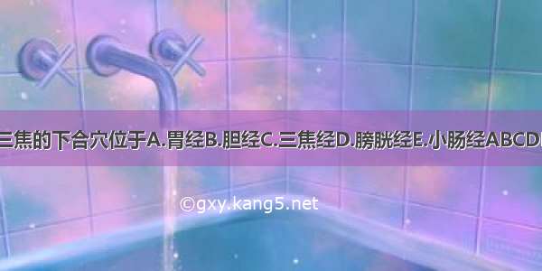 三焦的下合穴位于A.胃经B.胆经C.三焦经D.膀胱经E.小肠经ABCDE