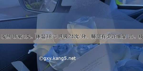 患儿4岁。发热 咳嗽6天。体温38℃ 呼吸24次/分。肺部有少许细湿啰音。痰液黏稠 不