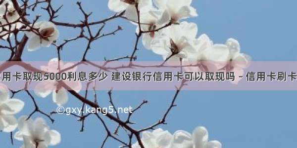 建行信用卡取现5000利息多少 建设银行信用卡可以取现吗 – 信用卡刷卡 – 前端