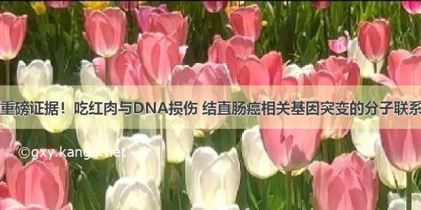 重磅证据！吃红肉与DNA损伤 结直肠癌相关基因突变的分子联系