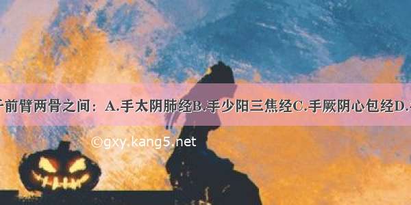 下列何经行于前臂两骨之间：A.手太阴肺经B.手少阳三焦经C.手厥阴心包经D.手阳明大肠经