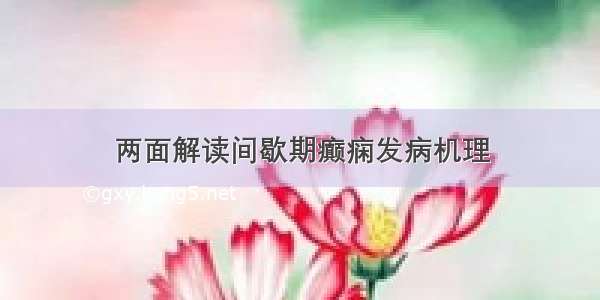 两面解读间歇期癫痫发病机理