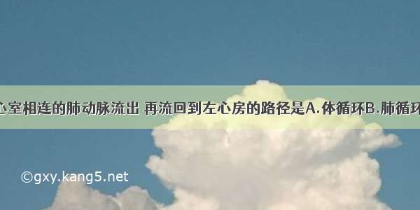 血液从与右心室相连的肺动脉流出 再流回到左心房的路径是A.体循环B.肺循环C.淋巴循环