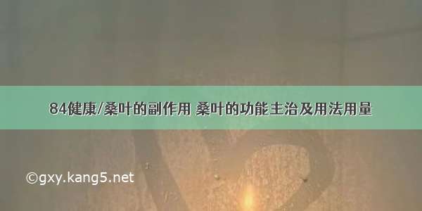 84健康/桑叶的副作用 桑叶的功能主治及用法用量