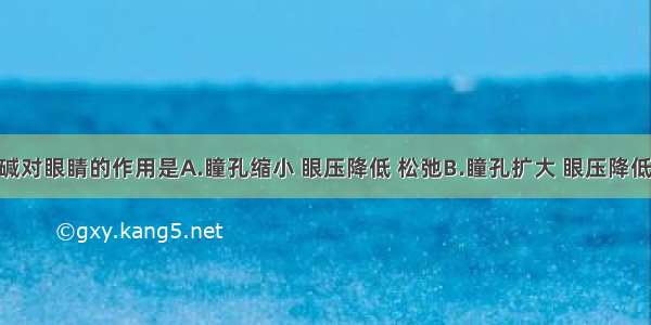 毛果芸香碱对眼睛的作用是A.瞳孔缩小 眼压降低 松弛B.瞳孔扩大 眼压降低 松弛C.瞳