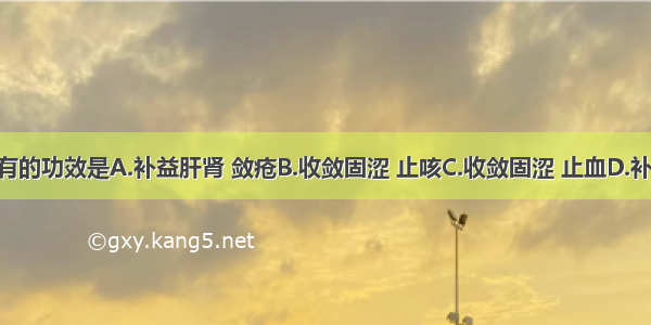 山茱萸具有的功效是A.补益肝肾 敛疮B.收敛固涩 止咳C.收敛固涩 止血D.补益肝肾 润