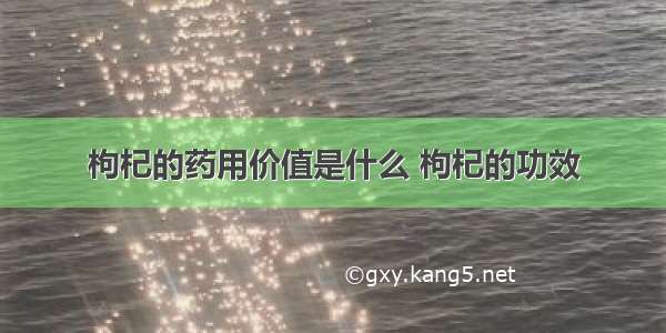 枸杞的药用价值是什么 枸杞的功效