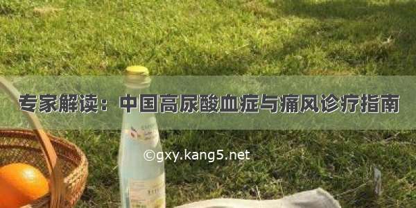 专家解读：中国高尿酸血症与痛风诊疗指南