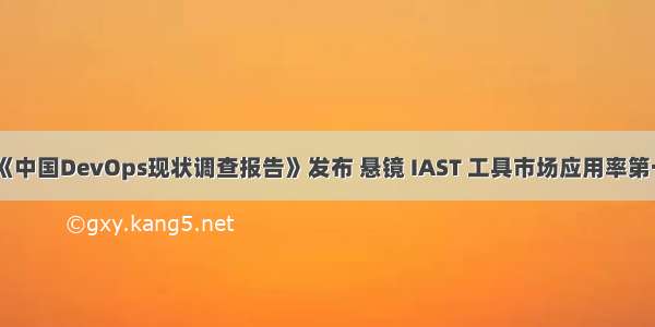 《中国DevOps现状调查报告》发布 悬镜 IAST 工具市场应用率第一