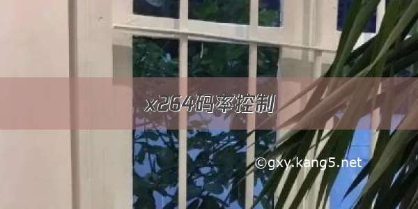 x264码率控制