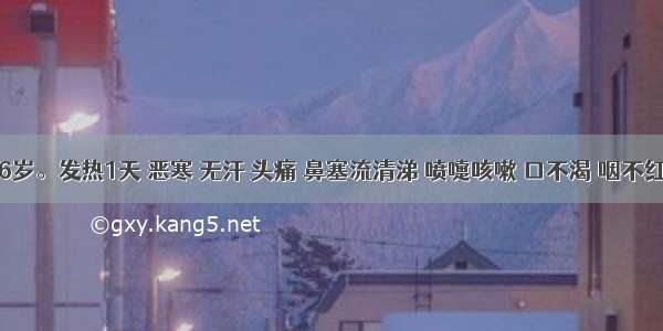 患儿 6岁。发热1天 恶寒 无汗 头痛 鼻塞流清涕 喷嚏咳嗽 口不渴 咽不红 舌苔