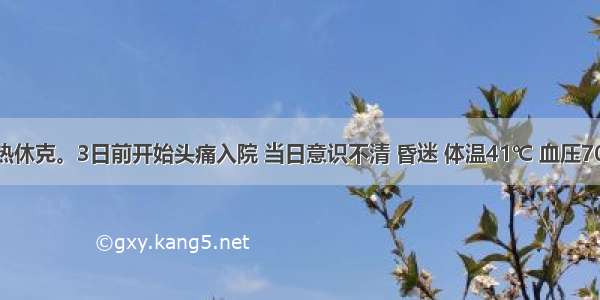 一男青年发热休克。3日前开始头痛入院 当日意识不清 昏迷 体温41℃ 血压70/30mmHg