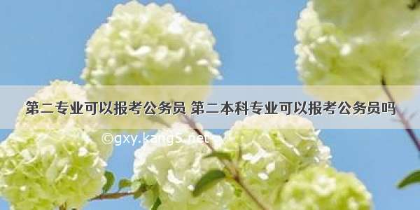 第二专业可以报考公务员 第二本科专业可以报考公务员吗