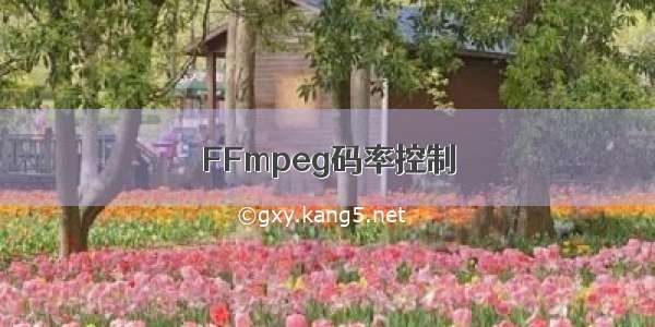 FFmpeg码率控制