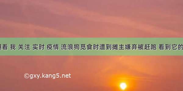 刷新 翻看 我 关注 实时 疫情 流浪狗觅食时遭到摊主嫌弃被赶跑 看到它的遭遇女